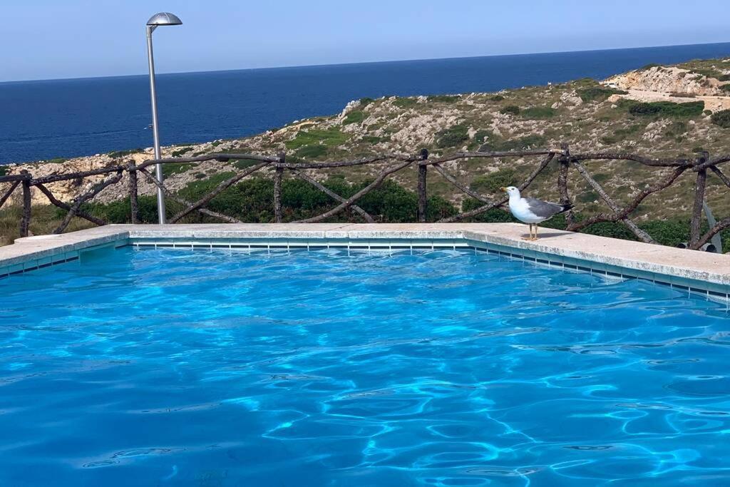 A Estrenar Con Vistas Al Mar. Appartement